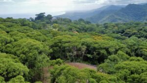 Photo-19-5-24-2-11-28 PM